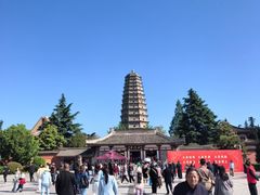 -法门文化景区