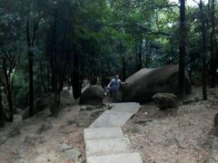 -火炉山森林公园
