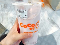 -CoCo都可(360丰产店)