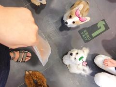 -熊小胖宠物生活馆(天华园店)