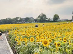 -苏州湾体育公园