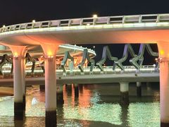 -演武大桥观景平台