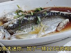 -八仔大富楼·河鲜(西江店)