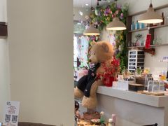 -初甜·舒芙蕾·韩式雪花冰(流塘店)