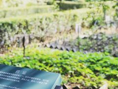 -南通博物苑-崇川人民公园