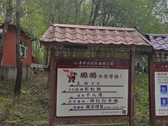 -香炉山国家森林公园