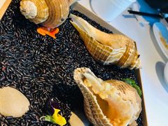 -申粤轩酒楼·三十年粤菜经典(丁香花园店)