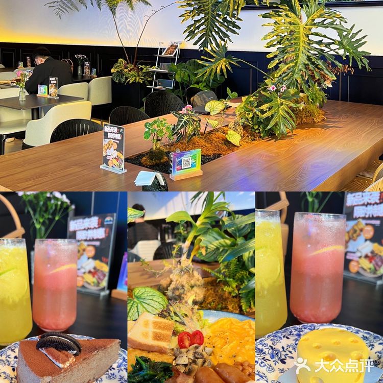 东莞宠物友好店|带着狗狗在森林里下午茶