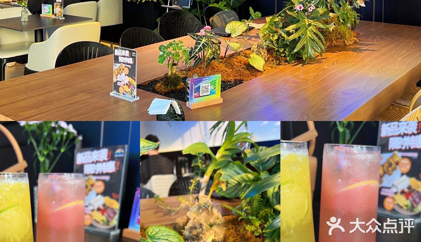 东莞宠物友好店|带着狗狗在森林里下午茶