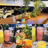 东莞宠物友好店|带着狗狗在森林里下午茶