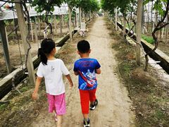 -美家乐农庄·露营·团建(大治路店)