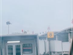-东营胜利机场