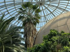-郑州植物园