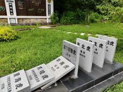 -横道河子东北虎林园