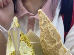 -野人先生现做冰淇淋(西安赛格店)
