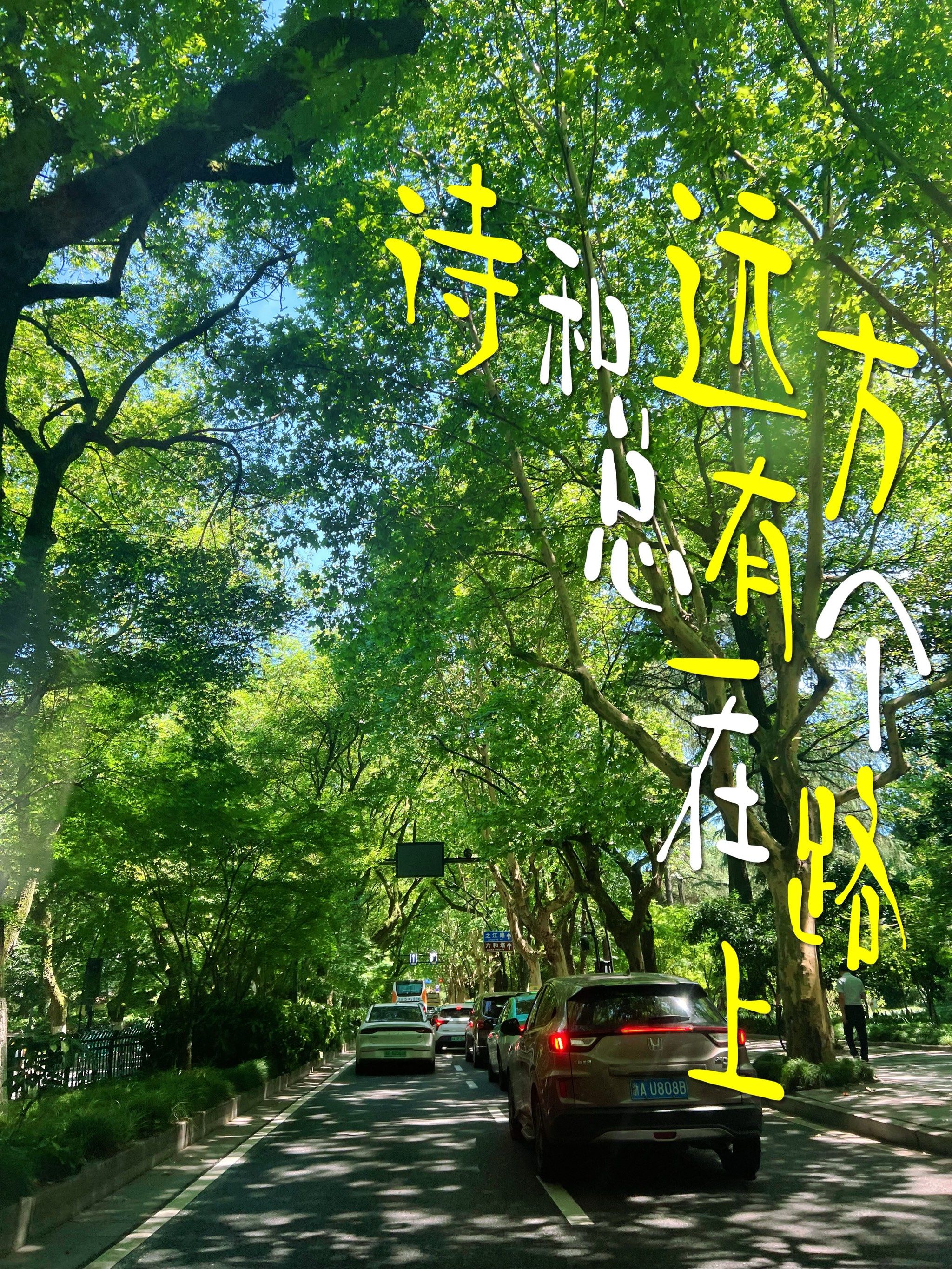 一路走来,心情这样清新