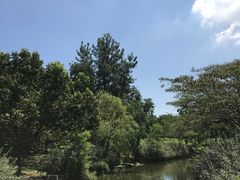 -上海滨江森林公园