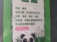 -武汉动物园