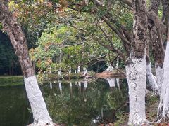 -番禺大夫山森林公园