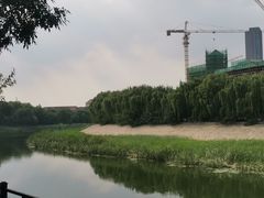 -桃花堤公园