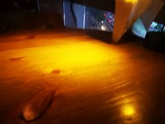 -故遥酒馆.赛事直播