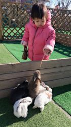 -萌宠亲子动物乐园(槐房万达店)