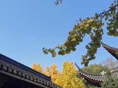 -西园戒幢律寺