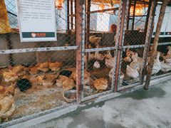 -鱼窝棚柴火铁锅炖(富山屯店)