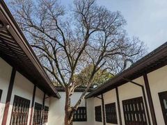 -上海醉白池公园