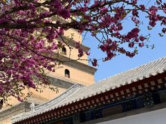 -大慈恩寺(大雁塔)