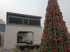 -上海崇明金茂凯悦酒店