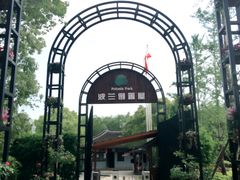 -金山农民画村-枫泾波兰倒置屋