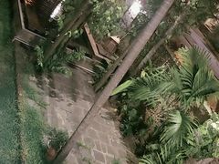 -Lam Vien Restaurant