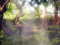 -Chom Cafe and Restaurant