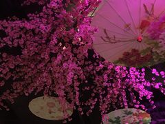 -韵秋荷(宝山龙湖天街店)