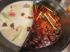 -朱光玉火锅馆(正弘城店)