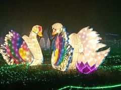 -广东花都香草世界旅游度假区