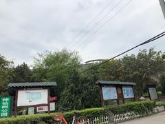 -神仙树公园