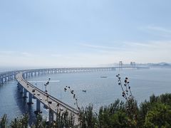 -星海湾跨海大桥
