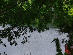 -荔湾湖公园