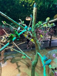 -酷嗒动物文化乐园(cutezoo西溪乐天城店)