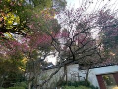 -岳王庙
