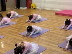 -北京红舞鞋少儿形体舞蹈教育(高新融侨城校区)