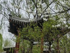 -北坞公园
