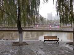 -雁滩公园