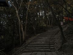 -灵顺寺