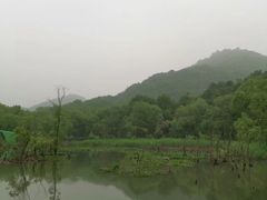 -西湖风景区-江洋畈生态公园