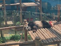 -大连森林动物园