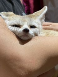 -Zoolung Zoolung动物主题公园(海信广场店)