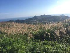 -枸杞岛